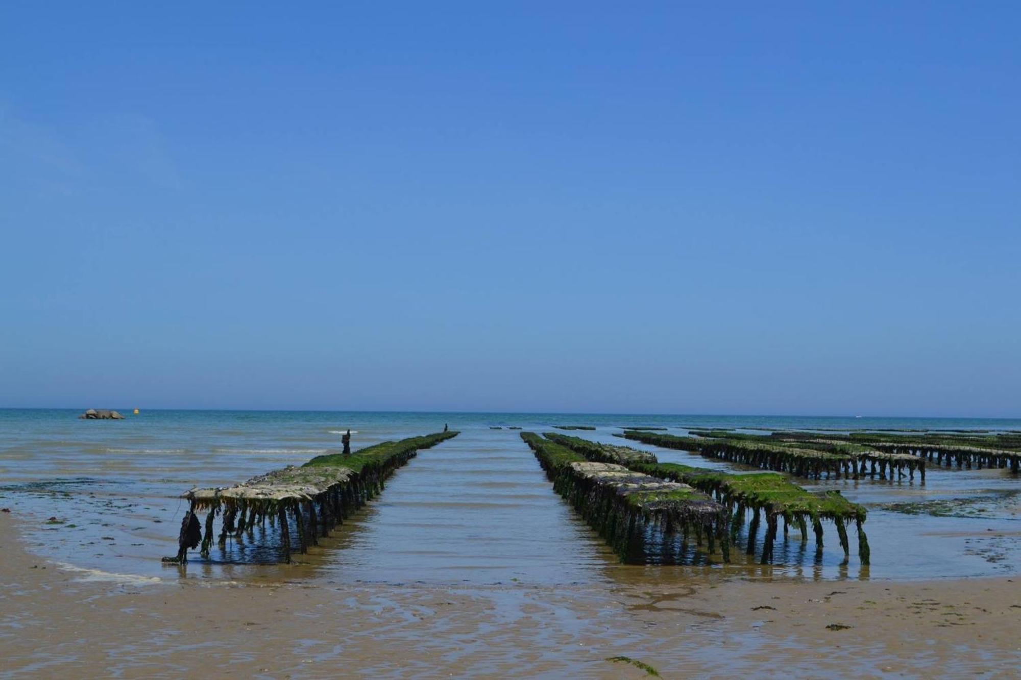 Le So Art, Grande Maison 4 Chambres, Terrain De Petanque, Grand Jardin Clos, Flipper, Babyfoot, Jeux Arcade, Ping Pong,1 Km Mer, Proche Golf, Port En Bessin, Bayeux Et Plages Du Debarquement, Adaptee Enfants Commes Exterior foto